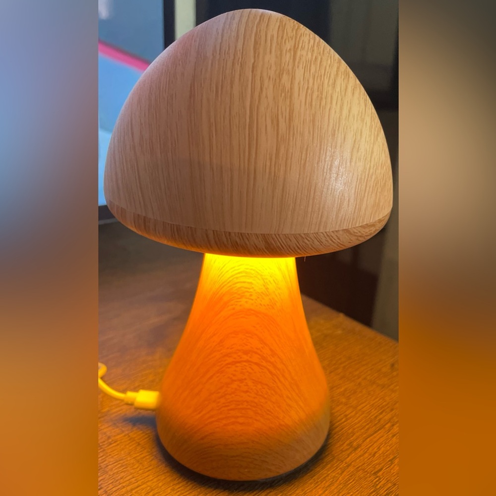 Rechargeable touch lamp (P-2)